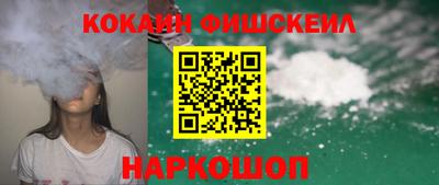 jwh Кингисепп