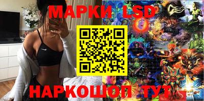 jwh Кингисепп