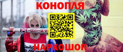 jwh Кингисепп