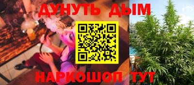 jwh Кингисепп