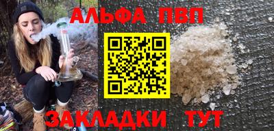 jwh Кингисепп