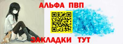jwh Кингисепп