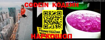jwh Кингисепп