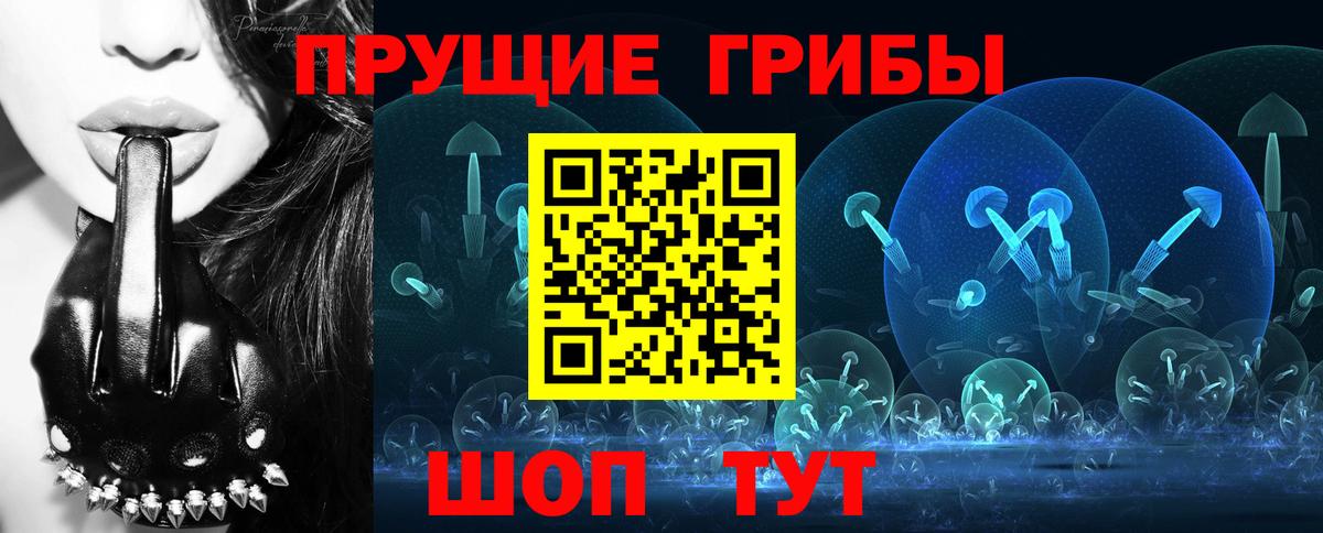 Дзержинск  Галлюциногенные грибы MAGIC MUSHROOMS  Псилоцибиновые грибы Psilocybe  Вход с VPN 